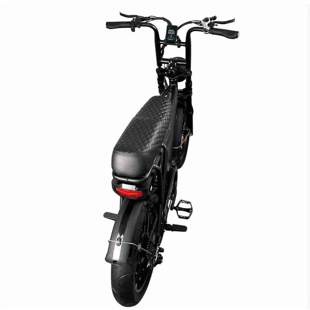 EB2 Fatbike Schwarz + Alarmsystem + Kostenlose Montage
