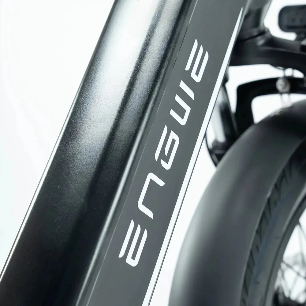 ENGWE L20 3.0 Pro - Schwarz