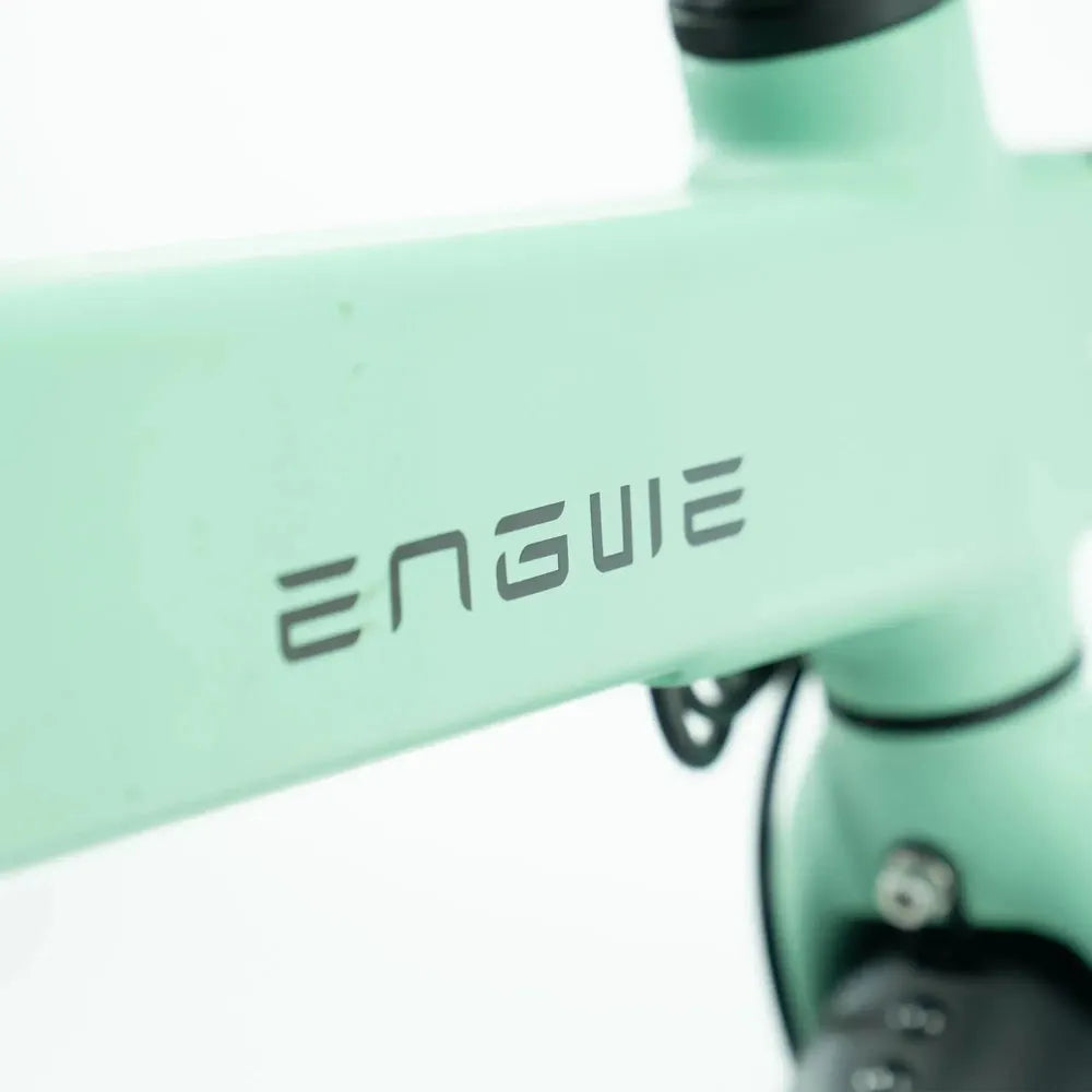 ENGWE P20 - Grün
