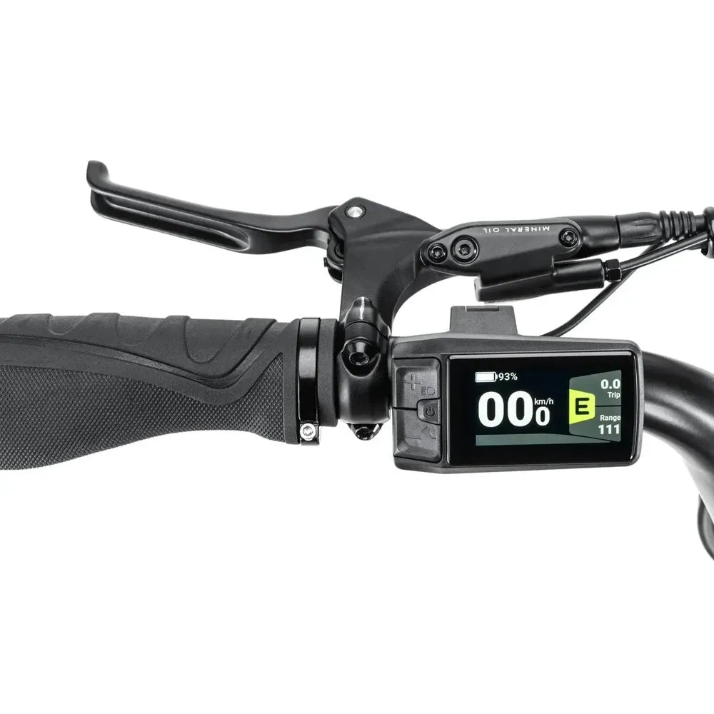STOER Bikes Urban X - Grün