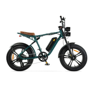 ENGWE M20 - Grün