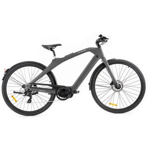 ENGWE Mapfour N1 Pro - Grau