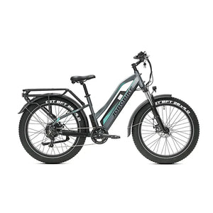 JOBOBIKE Robin ST - Grau-Grün