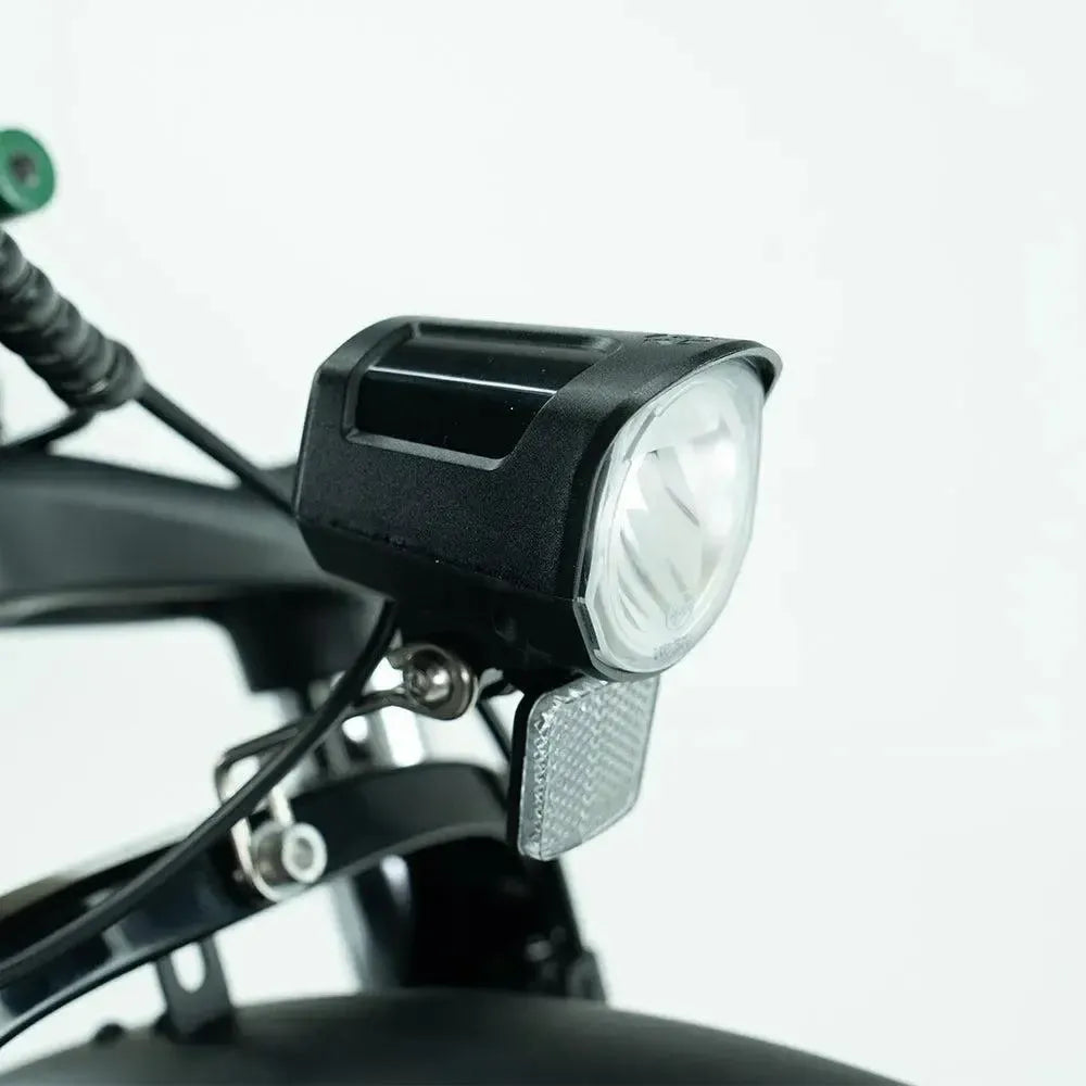 JOBOBIKE Transer - Longtail - Grün