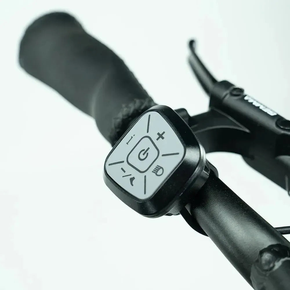 JOBOBIKE Transer - Longtail - Grün