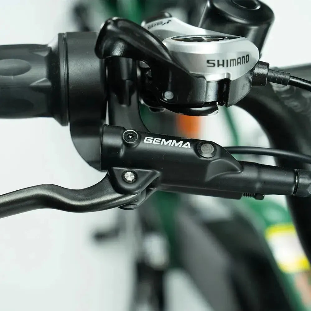 JOBOBIKE Transer - Longtail - Grün