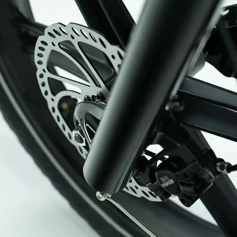 JOBOBIKE Transer - Longtail - Grün